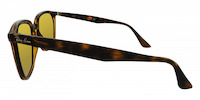 Ray-Ban 4362 21