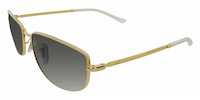 Ray-Ban 3732 11