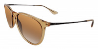 Ray-Ban Erika 4171 11